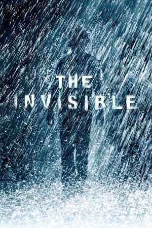 The Invisible 2007 Hindi Dual Audio | Hindi Dubbed Movie BRRip 300MB